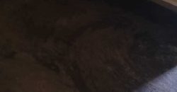 CASA – NUEVO SAN JOSE – 2501 102