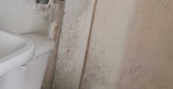 CASA – NUEVO SAN JOSE – 2501 102