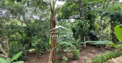 VENTA – TERRENO RANCHO MORALES – 2501 105