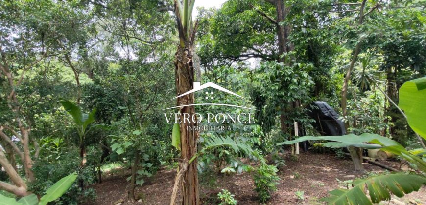 VENTA – TERRENO RANCHO MORALES – 2501 105