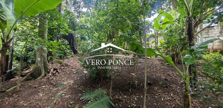 VENTA – TERRENO RANCHO MORALES – 2501 105