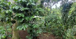 VENTA – TERRENO RANCHO MORALES – 2501 105