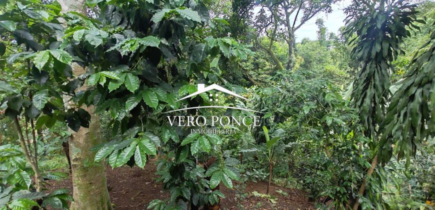 VENTA – TERRENO RANCHO MORALES – 2501 105