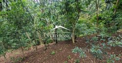 VENTA – TERRENO RANCHO MORALES – 2501 105