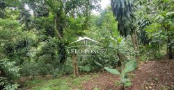 VENTA – TERRENO RANCHO MORALES – 2501 105