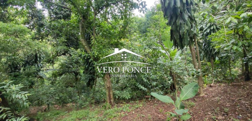 VENTA – TERRENO RANCHO MORALES – 2501 105