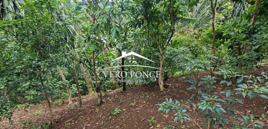 VENTA – TERRENO RANCHO MORALES – 2501 105