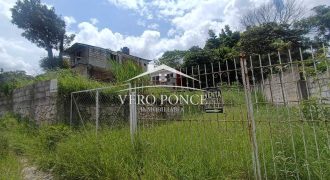 VENTA – TERRENO TLACOTENGO – 2510 102 VENTA – TERRENO TLACOTENGO – 2510 102