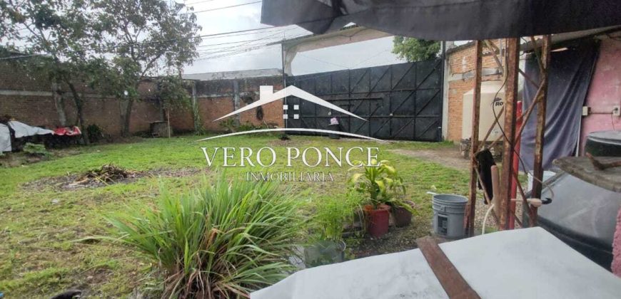 RENTA – BODEGA AMATLAN – 2501 118