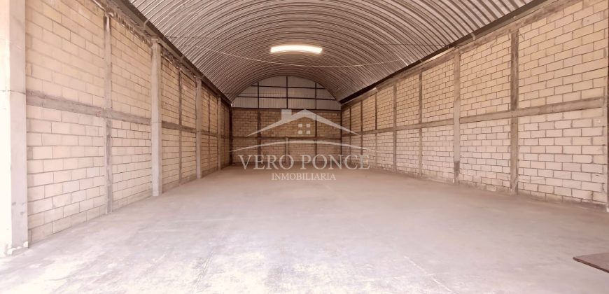 Colonia Buenavista / Bodega en Renta (19-28)