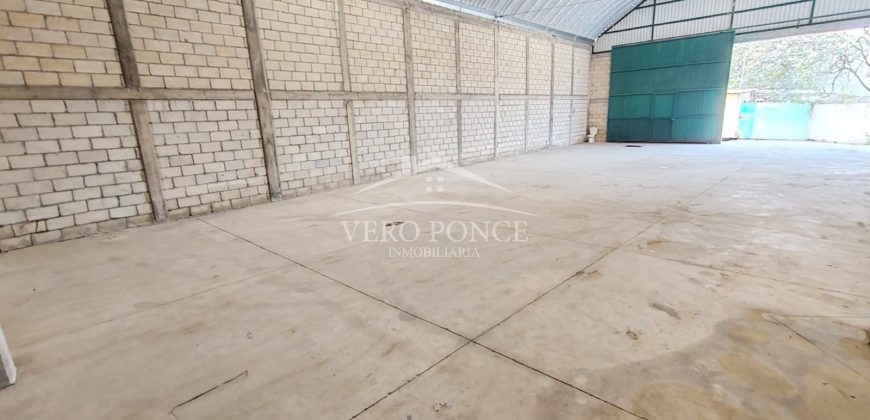 Colonia Buenavista / Bodega en Renta (19-28)