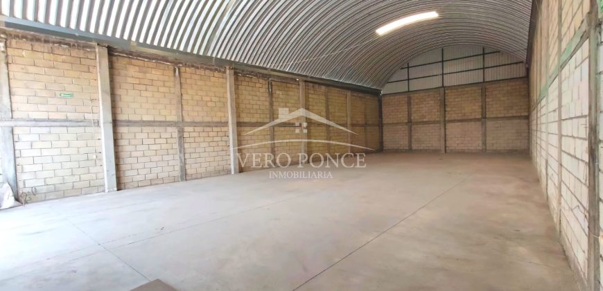 Colonia Buenavista / Bodega en Renta (19-28)