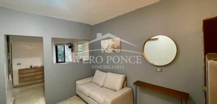 Avenida 7 Calle 5 / Departamento en Renta (2501-160)