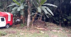 Zona Walmart / 81 m2 / Terreno en Venta (2501-164)