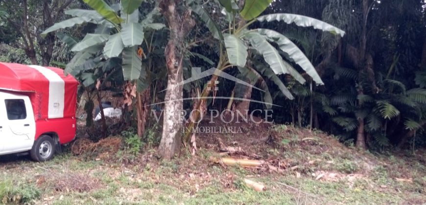 Zona Walmart / 81 m2 / Terreno en Venta (2501-164)