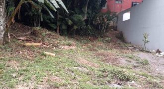 Zona Walmart / 81 m2 / Terreno en Venta (2501-164)