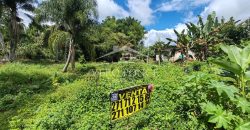 Colonia La Reforma / 105 m2 / Terreno en Venta (2501-165)