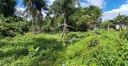 Colonia La Reforma / 105 m2 / Terreno en Venta (2501-165)