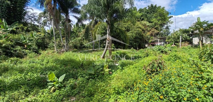 Colonia La Reforma / 105 m2 / Terreno en Venta (2501-165)