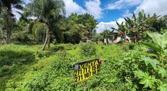 Colonia La Reforma / 105 m2 / Terreno en Venta (2501-165)