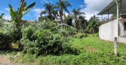 Colonia La Reforma / 105 m2 / Terreno en Venta (2501-165)