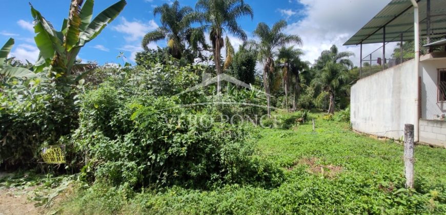 Colonia La Reforma / 105 m2 / Terreno en Venta (2501-165)