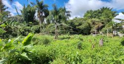 Colonia La Reforma / 105 m2 / Terreno en Venta (2501-165)