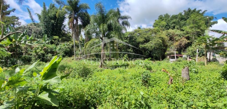 Colonia La Reforma / 105 m2 / Terreno en Venta (2501-165)