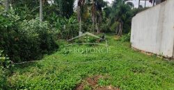 Colonia La Reforma / 105 m2 / Terreno en Venta (2501-165)