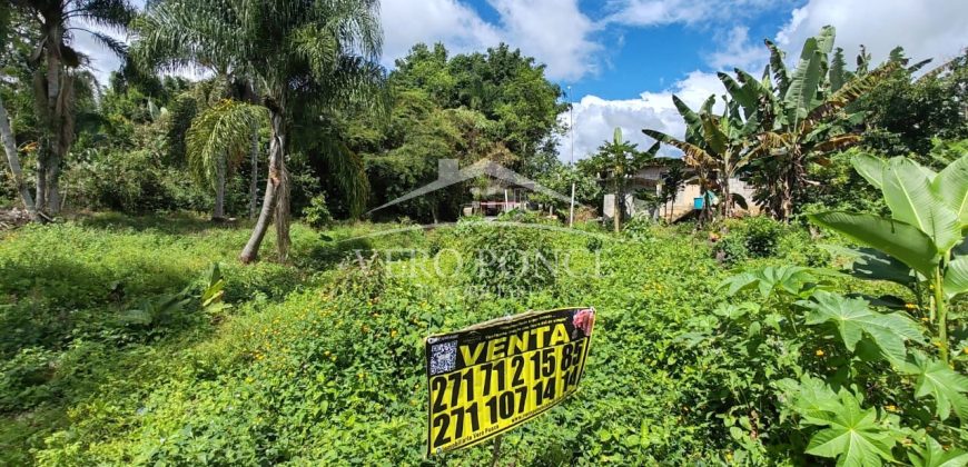 Colonia La Reforma / 105 m2 / Terreno en Venta (2501-165)