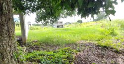 Colonia La Reforma / 105 m2 / Terreno en Venta (2501-165)