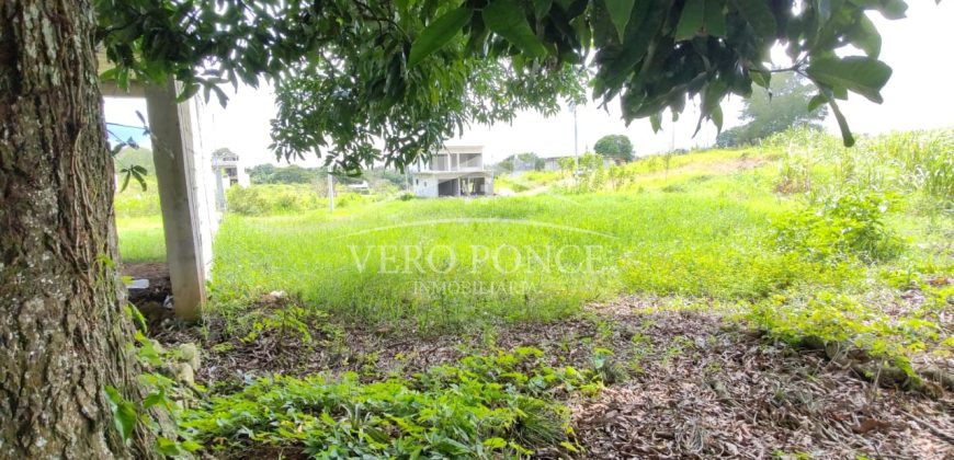 Colonia La Reforma / 105 m2 / Terreno en Venta (2501-165)