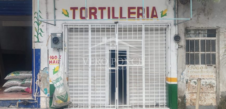 Avenida 12 Calle 13 / Local en Renta (2501-172)