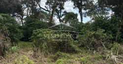 Ignacio Zaragoza, Veracruz / 1 ha / Terreno en Venta (2501-180)