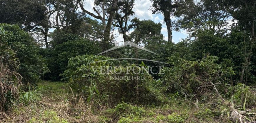 Ignacio Zaragoza, Veracruz / 1 ha / Terreno en Venta (2501-180)