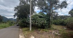 Ignacio Zaragoza, Veracruz / 1 ha / Terreno en Venta (2501-180)