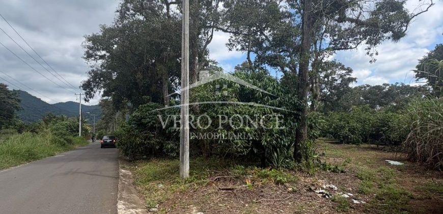 Ignacio Zaragoza, Veracruz / 1 ha / Terreno en Venta (2501-180)