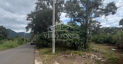 Ignacio Zaragoza, Veracruz / 1 ha / Terreno en Venta (2501-180)