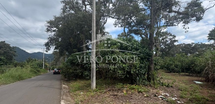 Ignacio Zaragoza, Veracruz / 1 ha / Terreno en Venta (2501-180)