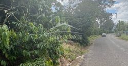 Ignacio Zaragoza, Veracruz / 1 ha / Terreno en Venta (2501-180)