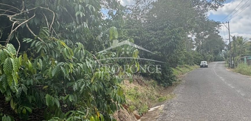 Ignacio Zaragoza, Veracruz / 1 ha / Terreno en Venta (2501-180)