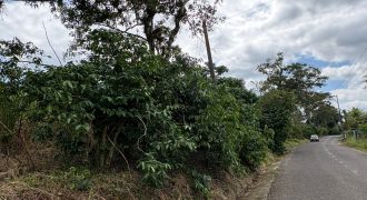 Ignacio Zaragoza, Veracruz / 1 ha / Terreno en Venta (2501-180)