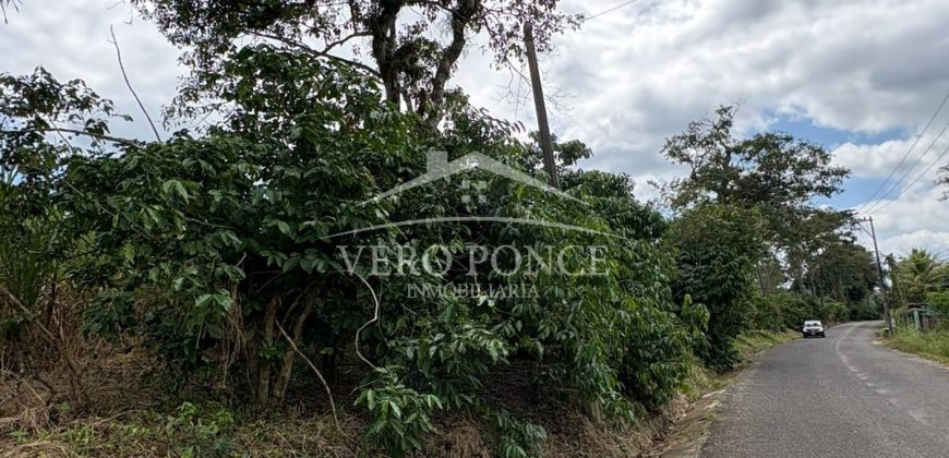 Ignacio Zaragoza, Veracruz / 1 ha / Terreno en Venta (2501-180)