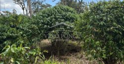 Ignacio Zaragoza, Veracruz / 1 ha / Terreno en Venta (2501-180)