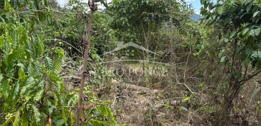 Ignacio Zaragoza, Veracruz / 1 ha / Terreno en Venta (2501-180)