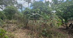 Ignacio Zaragoza, Veracruz / 1 ha / Terreno en Venta (2501-180)