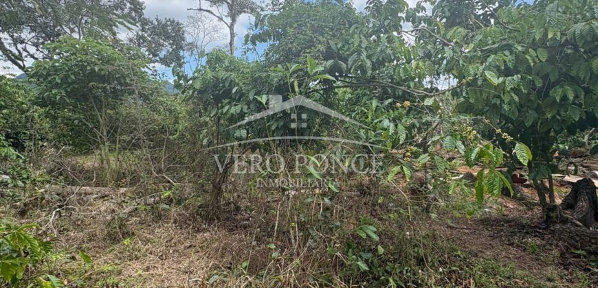 Ignacio Zaragoza, Veracruz / 1 ha / Terreno en Venta (2501-180)