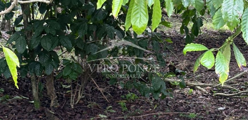 Ignacio Zaragoza, Veracruz / 1 ha / Terreno en Venta (2501-180)