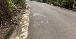 Ignacio Zaragoza, Veracruz / 1 ha / Terreno en Venta (2501-180)