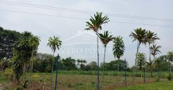 Guadalupe Barreal / 500 m2 / Terreno en Venta (2527-196)